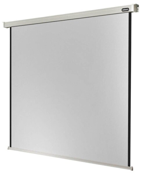 celexon elektrische Rolloleinwand Professional Motor 1:1, 120 x 120 cm Projektionsfläche