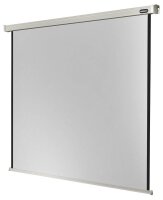 celexon elektrische Rolloleinwand Professional Motor 1:1,...