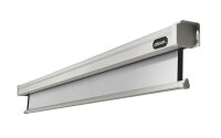 celexon elektrische Rolloleinwand Professional Motor 1:1, 240 x 240 cm Projektionsfläche