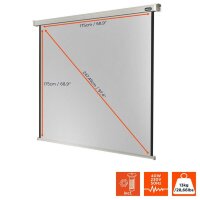 celexon elektrische Rolloleinwand Professional Motor 1:1, 180 x 180 cm Projektionsfläche