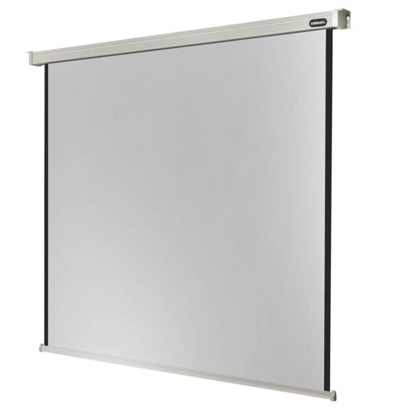 celexon elektrische Rolloleinwand Professional Motor 1:1, 280 x 280 cm Projektionsfläche