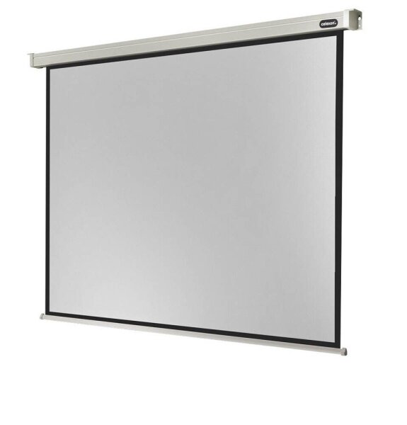 celexon elektrische Rolloleinwand Professional Motor 4:3, 300 x 225 cm Projektionsfläche