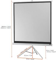 celexon Stativleinwand Economy 1:1, 133 x 133 cm Projektionsfläche
