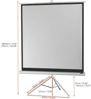 celexon Stativleinwand Economy 1:1, 244 x 244 cm Projektionsfläche