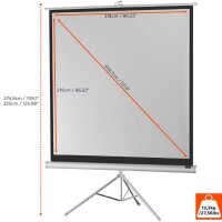 celexon Stativleinwand Economy 1:1, 219 x 219 cm Projektionsfläche