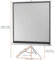 celexon Stativleinwand Economy 1:1, 219 x 219 cm Projektionsfläche