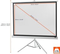 celexon Stativleinwand Economy 4:3, 211 x 160 cm Projektionsfläche