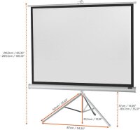 celexon Stativleinwand Economy 4:3, 211 x 160 cm Projektionsfläche