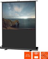 celexon mobile Leinwand Ultramobil Plus Professional 16:9, 114 x 64 cm Projektionsfläche