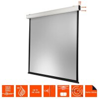 celexon elektrische Rolloleinwand Motor Expert XL 1:1, 350 x 350 cm Projektionsfläche