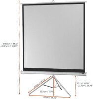 celexon Stativleinwand Economy 1:1, 158 x 158 cm Projektionsfläche