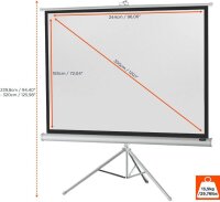 celexon Stativleinwand Economy 4:3, 244 x 183 cm Projektionsfläche