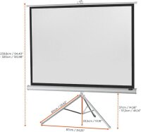 celexon Stativleinwand Economy 4:3, 244 x 183 cm Projektionsfläche