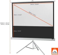 celexon Stativleinwand Economy 16:9, 244 x 138 cm Projektionsfläche