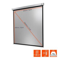 celexon elektrische Rolloleinwand Motor Professional Plus 1:1, 200 x 200 cm Projektionsfläche