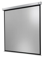 celexon elektrische Rolloleinwand Motor Professional Plus...