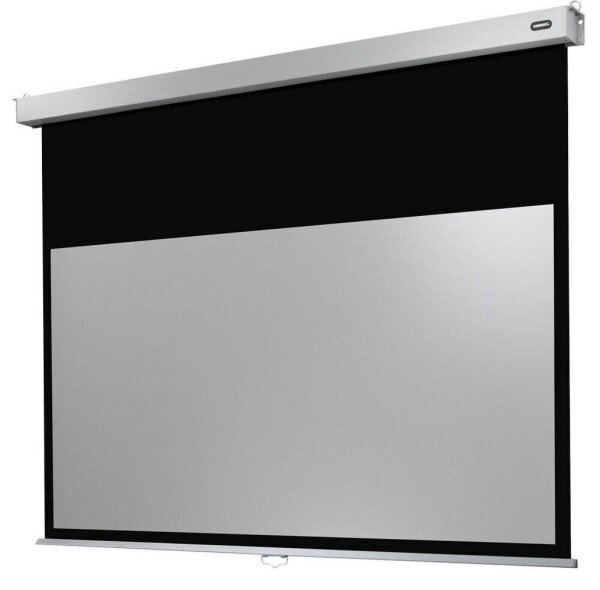 celexon Rolloleinwand Professional Plus 4:3, 300 x 169 cm Projektionsfläche