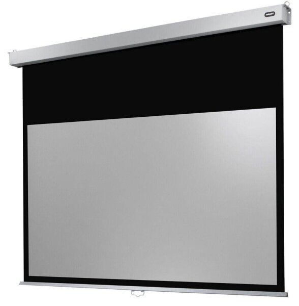 celexon Rolloleinwand Professional Plus 16:10, 300 x 187 cm Projektionsfläche