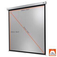 celexon Rolloleinwand Professional Plus 1:1, 220 x 220 cm Projektionsfläche