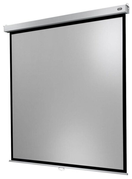 celexon Rolloleinwand Professional Plus 1:1, 200 x 200 cm Projektionsfläche
