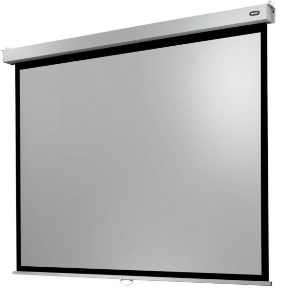 celexon Rolloleinwand Professional Plus 4:3, 300 x 225 cm Projektionsfläche