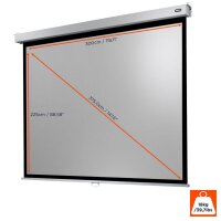 celexon Rolloleinwand Professional Plus 4:3, 300 x 225 cm Projektionsfläche