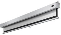 celexon Rolloleinwand Professional Plus 16:10, 240 x 150 cm Projektionsfläche