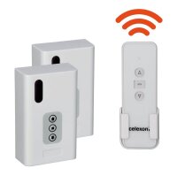 celexon Professional 2-Kanal Funkset für 2...
