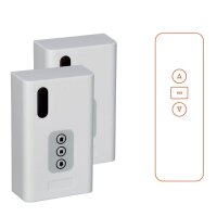 celexon Professional 2-Kanal Funkset für 2 Empfänger