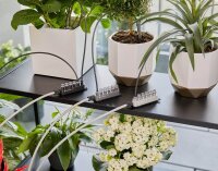 GARDENA Bewässerungs-Set Urlaubsbewässerung