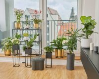 GARDENA Bewässerungs-Set Urlaubsbewässerung