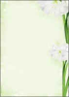 SIGEL Motivpapier Green Flower Motiv DIN A4 90 g/qm 25...