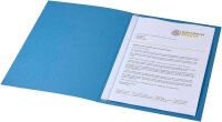 BOI Klemmschienen transparent DIN A4, 1 St.