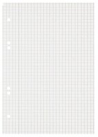 LANDRÉ® Collegeblock Recycling Kleinformat kariert DIN A5 Innenrand  ( 100050114 )