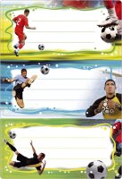 HERMA Schuletiketten Fussball, 6 Etiketten