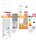 OSRAM LED-Lampe Star Classic P40 E14 3,4 W klar, 1 St.