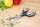 RAPESCO® Scheren-Set Soft Grip, 4 St.
