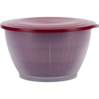 WESTMARK Schüssel Olympia transparent/rot, 1 Set