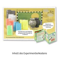 KOSMOS Experimentierkasten Fußball-Flummis mehrfarbig