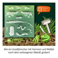 KOSMOS Ausgrabungsset T-REX mehrfarbig