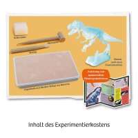 KOSMOS Ausgrabungsset T-REX mehrfarbig