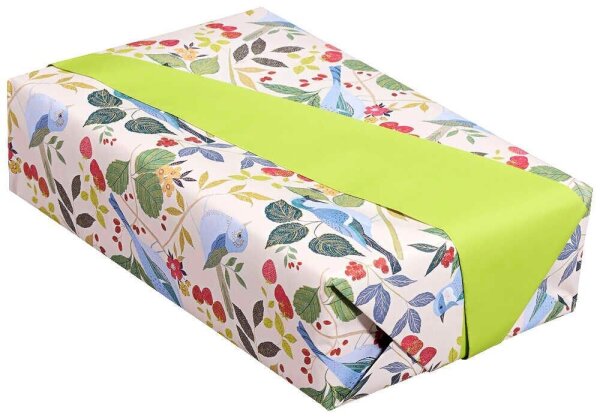 JUNG SCHÖNER VERPACKEN Geschenkpapier Mary Vintage Design mit Vögeln mehrfarbig beidseitig bedruckt, 20,0 m