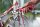 Wiha Schraubendreher-Set LiftUp 25 SL/PH/PZ/TORX® 38605 12-tlg.