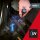 Wiha 41286 LED Taschenlampe schwarz, 1 St.