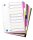 OXFORD Ordnerregister myColour DIN A4 Vollformat blanko lila, pink, weiß, grün, schwarz 10-teilig, 1 Satz