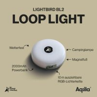 Aqiila® LIGHTBIRD BL2 LED Lichterkette weiß 10,0 m, 250 Lumen, 1 St.