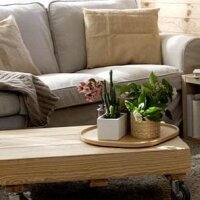 Ponal Reparatur PUR-Spachtel Holz-Kombi-Kleber 177,0 g, 1 St.