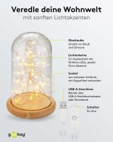 goobay LED Dekoleuchte transparent, 1 St.