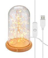 goobay LED Dekoleuchte transparent, 1 St.
