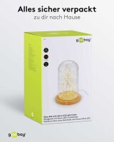 goobay LED Dekoleuchte transparent, 1 St.